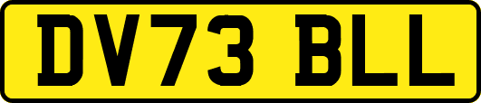 DV73BLL