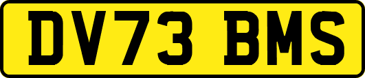 DV73BMS