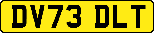DV73DLT