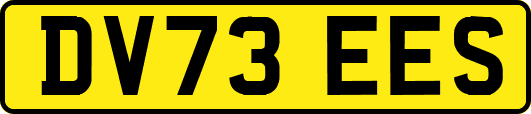 DV73EES