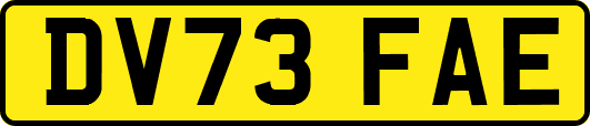 DV73FAE