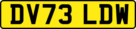 DV73LDW