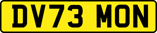DV73MON