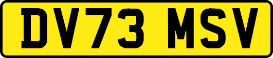 DV73MSV