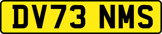 DV73NMS
