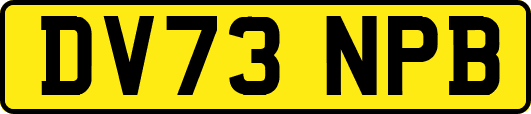 DV73NPB