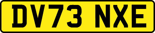 DV73NXE