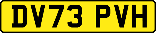 DV73PVH