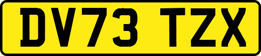 DV73TZX