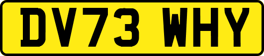 DV73WHY