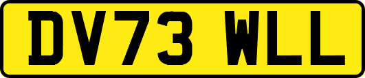 DV73WLL