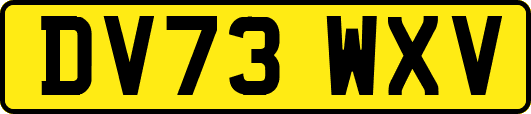 DV73WXV