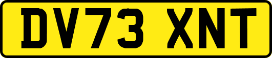 DV73XNT