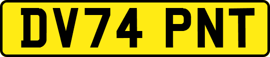 DV74PNT