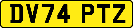 DV74PTZ