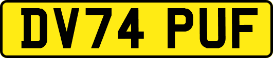 DV74PUF