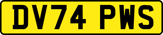 DV74PWS