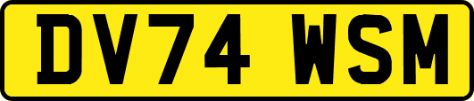 DV74WSM