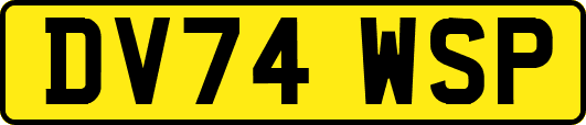 DV74WSP