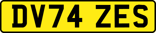 DV74ZES