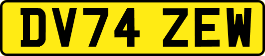 DV74ZEW
