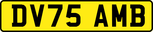 DV75AMB