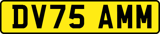 DV75AMM