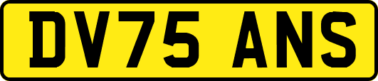 DV75ANS