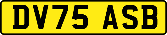 DV75ASB