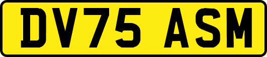 DV75ASM