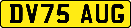 DV75AUG