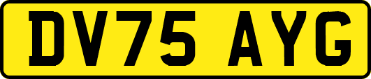 DV75AYG