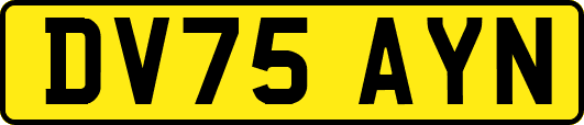 DV75AYN