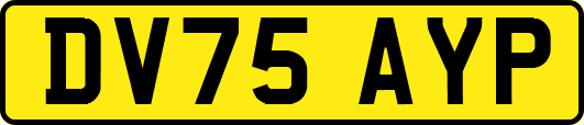 DV75AYP