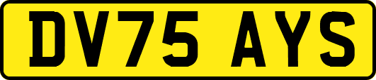 DV75AYS