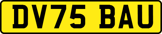 DV75BAU