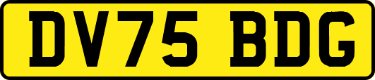 DV75BDG