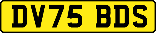 DV75BDS