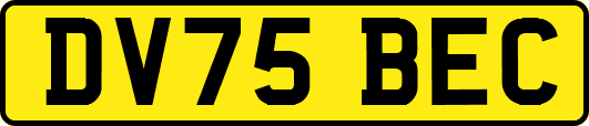 DV75BEC