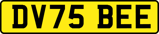 DV75BEE