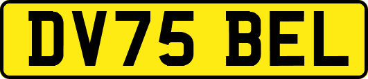 DV75BEL