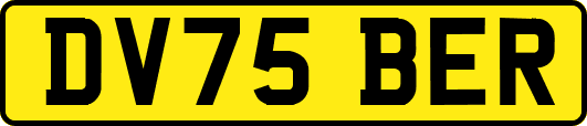 DV75BER