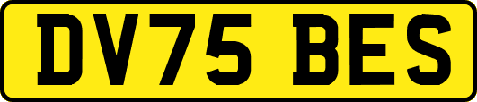 DV75BES