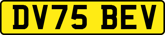 DV75BEV