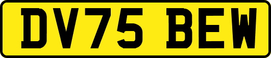 DV75BEW