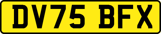 DV75BFX