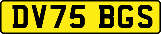 DV75BGS