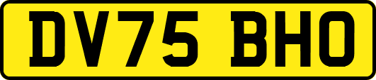 DV75BHO