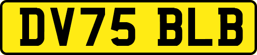 DV75BLB