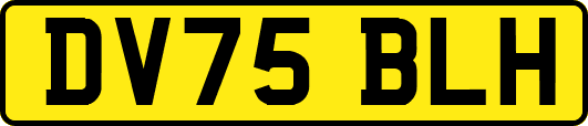 DV75BLH